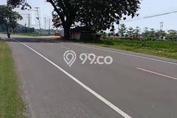 Tanah untuk Dijual Lokasi Gondang, Sragen Luas 150000m2 SHM Tanah untuk Dijual Lokasi Gondang, Sragen Luas 150000m2 SHM