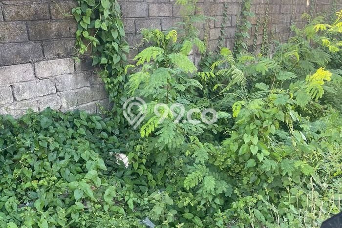 Kavling Tanah untuk Disewa di Renon Lahan Luas 500m2 Kavling Tanah untuk Disewa di Renon Lahan Luas 500m2