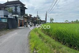 Disewakan Segera Tanah di Kediri Luas 1000m2 Area Potensial Disewakan Segera Tanah di Kediri Luas 1000m2 Area Potensial