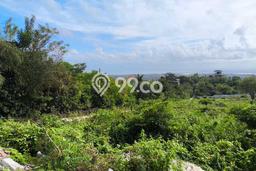 Disewakan Tanah di Ungasan Badung Seluas 2000m2 Disewakan Tanah di Ungasan Badung Seluas 2000m2