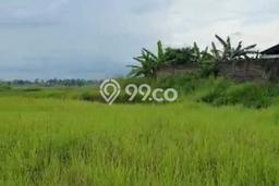 Tanah Kavling untuk Dijual di Cerme Gresik 50424m2 Tanah Kavling untuk Dijual di Cerme Gresik 50424m2