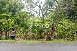 Tanah Dijual Lokasi Strategis di Jembrana dengan Luas 4250m2 Tanah Dijual Lokasi Strategis di Jembrana dengan Luas 4250m2