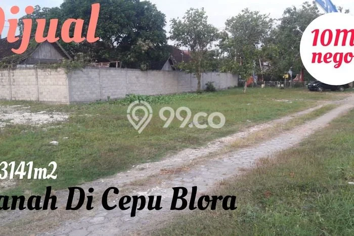 Tanah Dijual Lokasi Cepu, Blora Luas 3141m2 Legalitas Aman Tanah Dijual Lokasi Cepu, Blora Luas 3141m2 Legalitas Aman