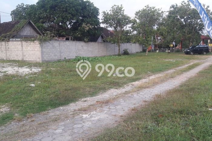 Tanah Dijual Lokasi Cepu, Blora Luas 3141m2 Legalitas Aman Tanah Dijual Lokasi Cepu, Blora Luas 3141m2 Legalitas Aman