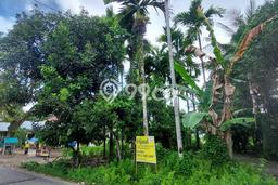 Untuk Dijual Tanah di Batang Anai Padang Pariaman Luas 1732m2 SHM Untuk Dijual Tanah di Batang Anai Padang Pariaman Luas 1732m2 SHM