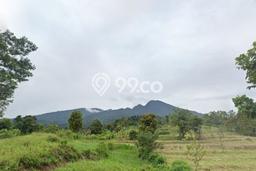 Kavling Tanah Dijual di Bogor Selatan Bogor Spesifikasi 75057m2 Kavling Tanah Dijual di Bogor Selatan Bogor Spesifikasi 75057m2