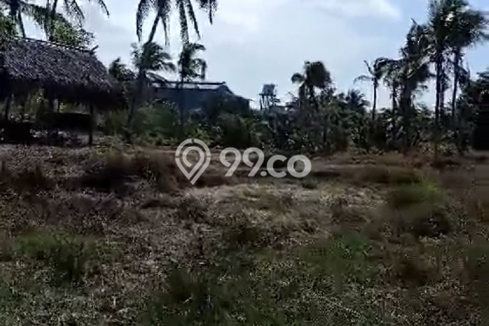 Jarang Ada! Tanah di Cigeulis Punya Luas 9870m2 SHM Jarang Ada! Tanah di Cigeulis Punya Luas 9870m2 SHM