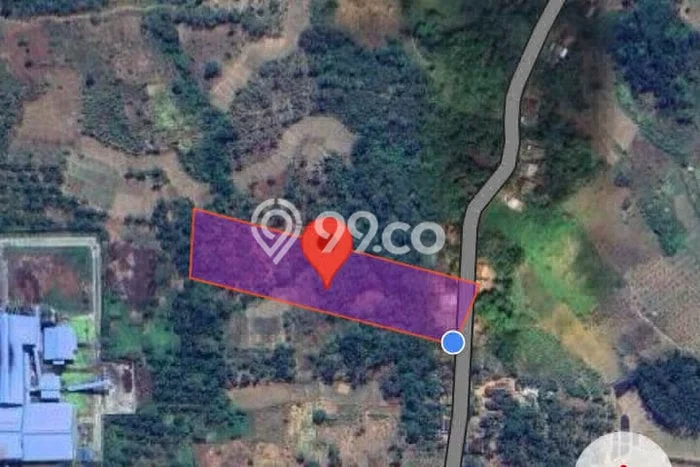 Jarang Ada! Tanah di Cigeulis Punya Luas 9870m2 SHM Jarang Ada! Tanah di Cigeulis Punya Luas 9870m2 SHM