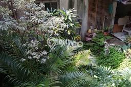 Tanah di Cinere, Luas 270m2m², Dekat Jalan Raya, Area Berkembang Tanah di Cinere, Luas 270m2m², Dekat Jalan Raya, Area Berkembang