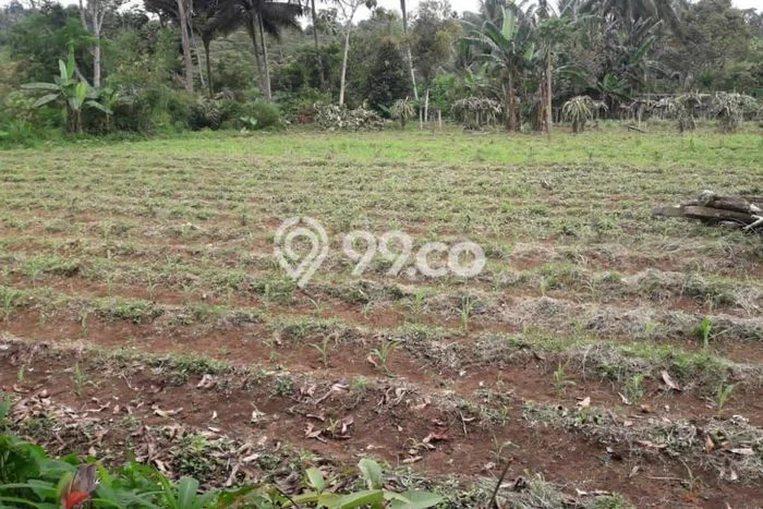 Tanah Strategis Dijual di Nagrak Sukabumi 23781m2 Tanah Strategis Dijual di Nagrak Sukabumi 23781m2