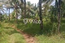 Jual Tanah Kawasan Bisnis Kawasan Cimerak, Luas 500000m2m², Prospek Bagus Jual Tanah Kawasan Bisnis Kawasan Cimerak, Luas 500000m2m², Prospek Bagus