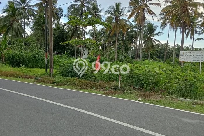 Kavling Tanah Dijual di Cijulang Pangandaran Spesifikasi 7700m2 Kavling Tanah Dijual di Cijulang Pangandaran Spesifikasi 7700m2