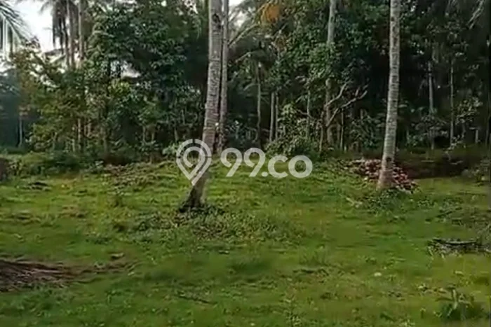 Lahan Strategis di Cimerak Dijual dengan Luas 5000m2 Lahan Strategis di Cimerak Dijual dengan Luas 5000m2