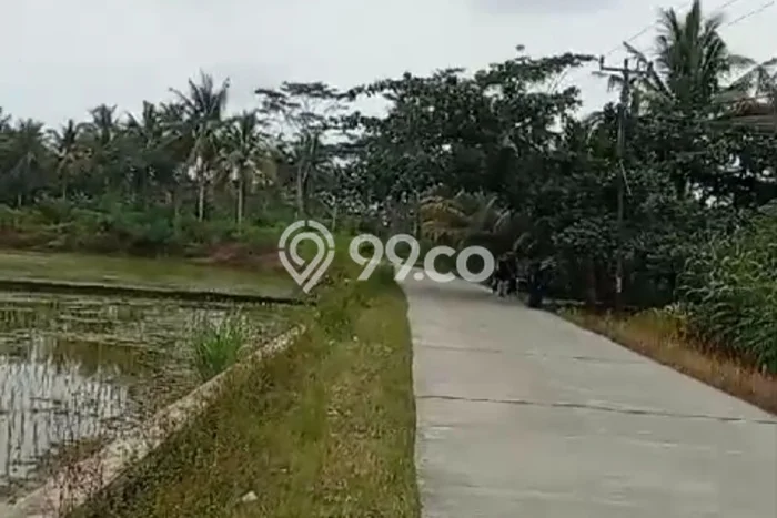 Lahan Strategis di Cimerak Dijual dengan Luas 5000m2 Lahan Strategis di Cimerak Dijual dengan Luas 5000m2