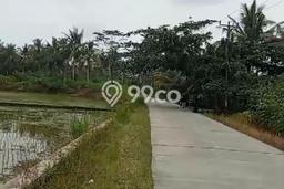 Lahan Strategis di Cimerak Dijual dengan Luas 5000m2 Lahan Strategis di Cimerak Dijual dengan Luas 5000m2