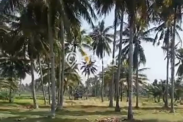 Tanah untuk Dijual Lokasi Cijulang, Pangandaran Luas 7560m2 SHM Tanah untuk Dijual Lokasi Cijulang, Pangandaran Luas 7560m2 SHM