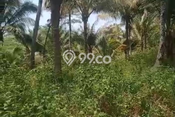 Lahan Dijual Lokasi Cimerak, Pangandaran dengan Luas Tanah 500000m2 dan Status - Lahan Dijual Lokasi Cimerak, Pangandaran dengan Luas Tanah 500000m2 dan Status -