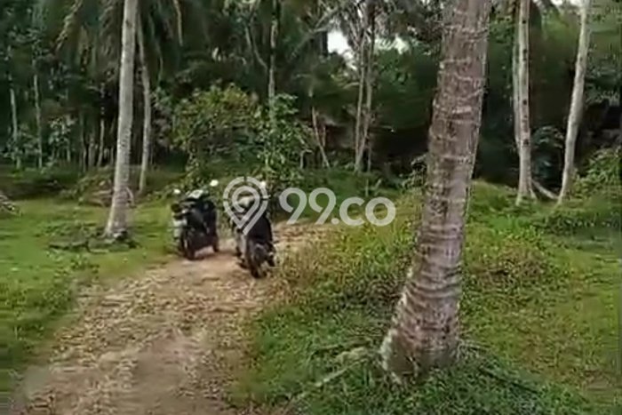 Lahan Strategis di Cimerak Dijual dengan Luas 5000m2 Lahan Strategis di Cimerak Dijual dengan Luas 5000m2