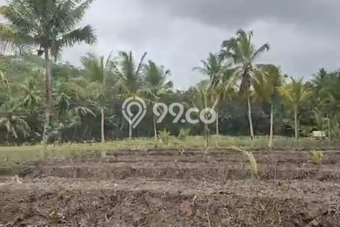 Jarang Ada! Tanah di Cimerak Punya Luas 50000m2 - Jarang Ada! Tanah di Cimerak Punya Luas 50000m2 -