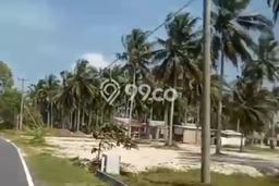 Tanah untuk Dijual Lokasi Cijulang, Pangandaran Luas 7560m2 SHM Tanah untuk Dijual Lokasi Cijulang, Pangandaran Luas 7560m2 SHM