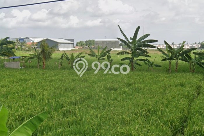 Dijual Tanah di Tangerang, Luas 5500m2 SHM Dijual Tanah di Tangerang, Luas 5500m2 SHM