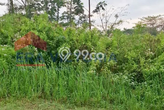 Kavling Tanah Dijual di Dau, Malang, Luas 201m2 Area Strategis Kavling Tanah Dijual di Dau, Malang, Luas 201m2 Area Strategis