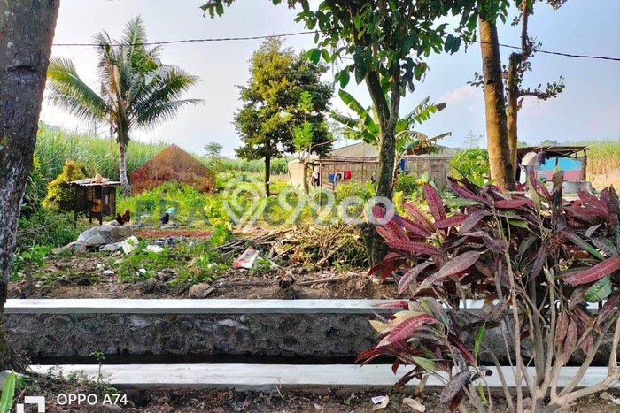 Tanah Dijual Area Strategis di Arjowinangun Malang 2615m2 Tanah Dijual Area Strategis di Arjowinangun Malang 2615m2