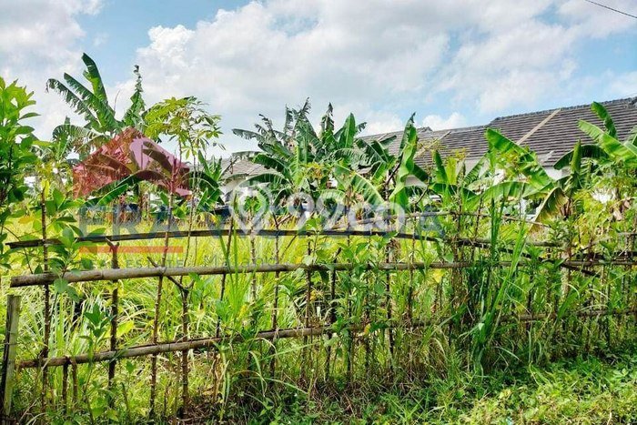 Kavling Tanah di Pakisaji Dijual Luas 144m2 Legalitas AJB Kavling Tanah di Pakisaji Dijual Luas 144m2 Legalitas AJB