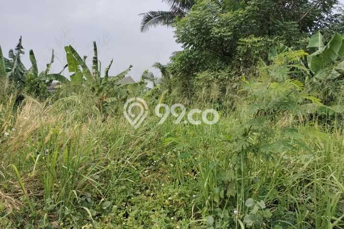 Tanah Disewa di Kapuk Strategis dan Memiliki Luas 4500m2 Tanah Disewa di Kapuk Strategis dan Memiliki Luas 4500m2
