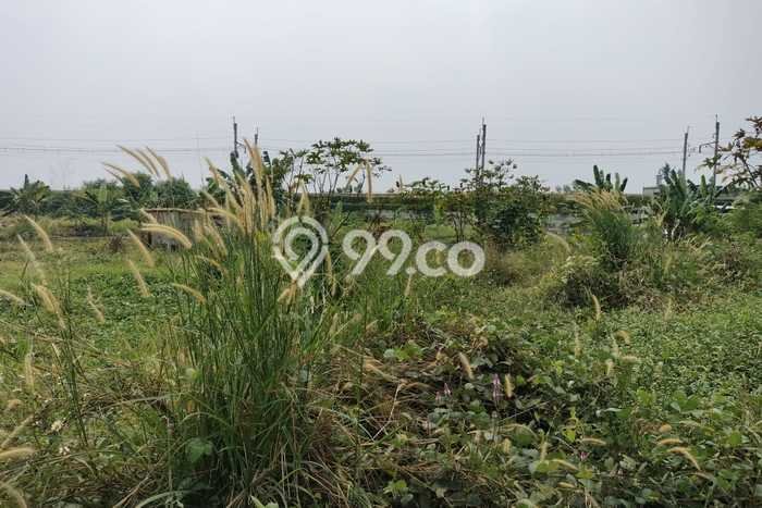 Tanah Disewa di Kapuk Strategis dan Memiliki Luas 4500m2 Tanah Disewa di Kapuk Strategis dan Memiliki Luas 4500m2