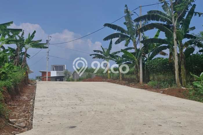 Gudang untuk disewa di Mijen punya LT 500m2 & LB 400m2 harga sewa kompetitif Gudang untuk disewa di Mijen punya LT 500m2 & LB 400m2 harga sewa kompetitif