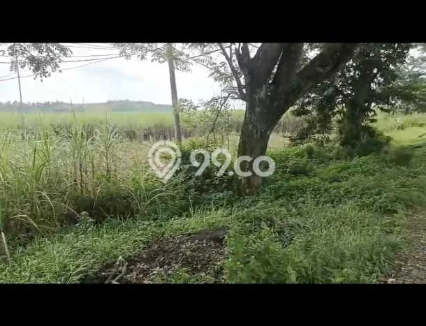 Lahan untuk Dijual Lokasi Ngawi, Ngawi Luas 230000m2 SHM Lahan untuk Dijual Lokasi Ngawi, Ngawi Luas 230000m2 SHM