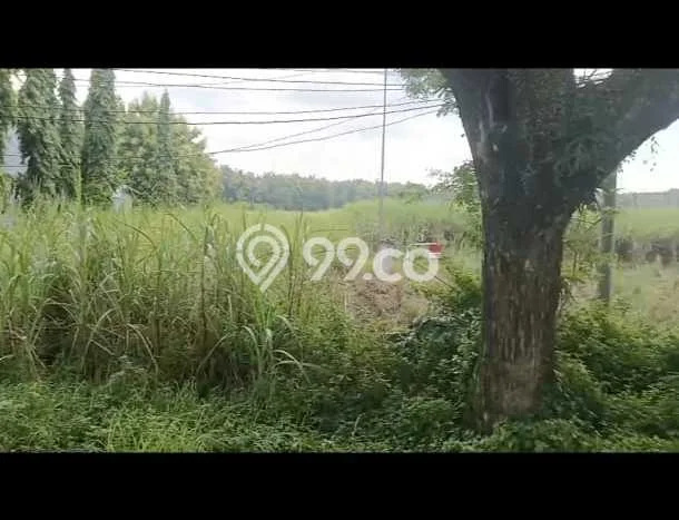Lahan untuk Dijual Lokasi Ngawi, Ngawi Luas 230000m2 SHM Lahan untuk Dijual Lokasi Ngawi, Ngawi Luas 230000m2 SHM