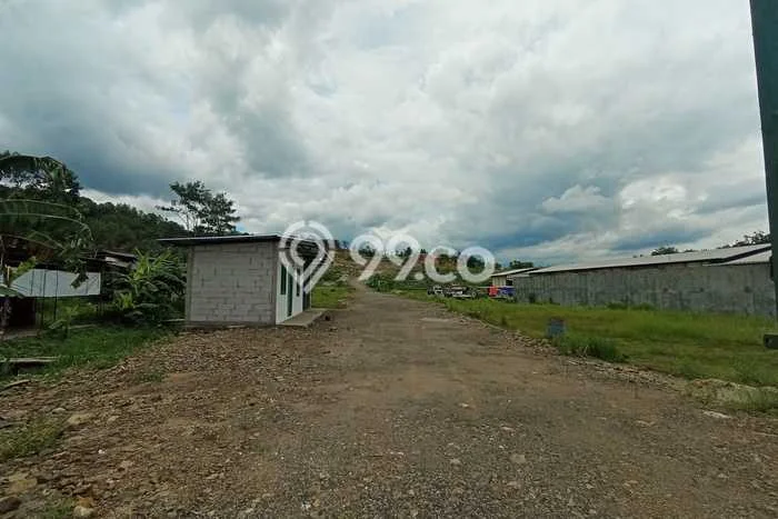 Tanah Siap Bangun Dijual di Cilacap Punya Luas 100000m2 Tanah Siap Bangun Dijual di Cilacap Punya Luas 100000m2