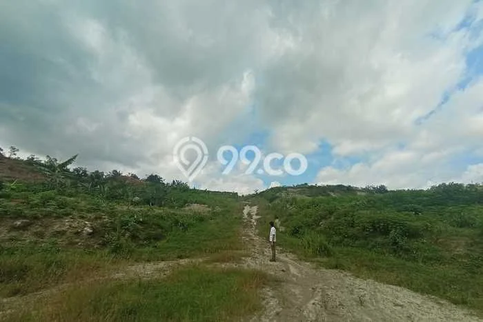 Tanah Siap Bangun Dijual di Cilacap Punya Luas 100000m2 Tanah Siap Bangun Dijual di Cilacap Punya Luas 100000m2