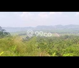Kavling Tanah di Banyubiru Dijual Luas 45000m2 Legalitas SHM Kavling Tanah di Banyubiru Dijual Luas 45000m2 Legalitas SHM