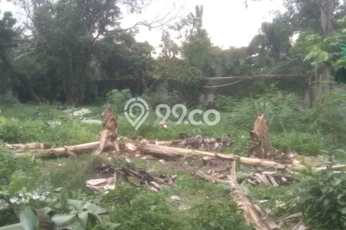 Untuk Dijual Tanah di Jagakarsa Jakarta Selatan Luas 1640m2 SHM Untuk Dijual Tanah di Jagakarsa Jakarta Selatan Luas 1640m2 SHM