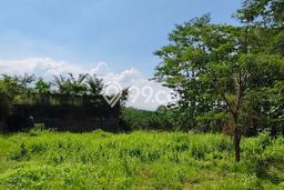 Lahan Investasi Lokasi Dau Malang - Lahan Investasi Lokasi Dau Malang -