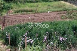 Untuk Dijual Tanah di Bumiaji Batu Luas 1200m2 - Untuk Dijual Tanah di Bumiaji Batu Luas 1200m2 -