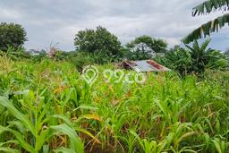 Kavling Tanah di Lowokwaru Dijual Luas 120m2 Legalitas SHM Kavling Tanah di Lowokwaru Dijual Luas 120m2 Legalitas SHM