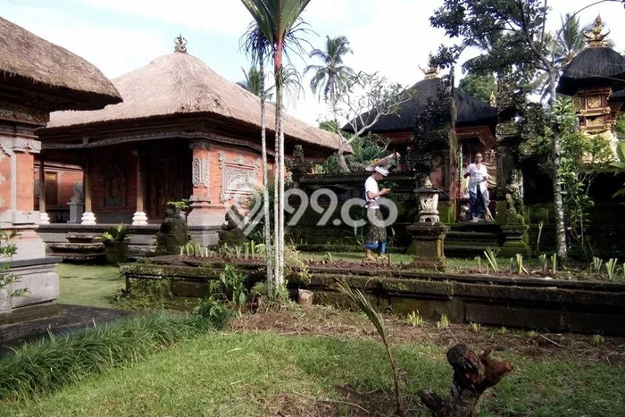 Tanah Dijual Lokasi Baturiti, Tabanan Luas 4900m2 Legalitas Aman Tanah Dijual Lokasi Baturiti, Tabanan Luas 4900m2 Legalitas Aman