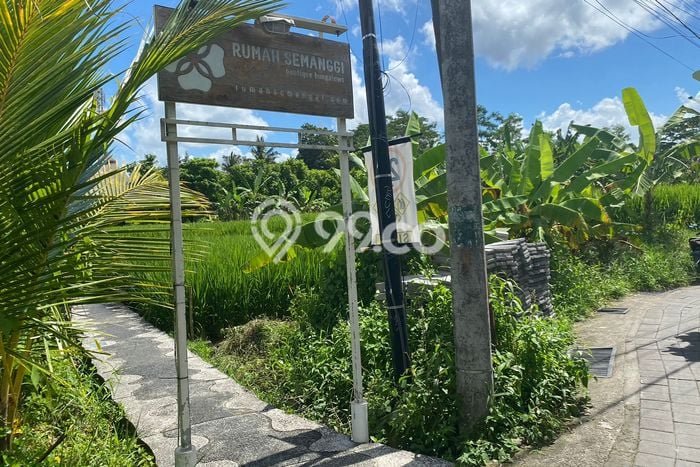 Tanah Investasi Disewakan di Ubud, Gianyar, Luas 1200m2 Tanah Investasi Disewakan di Ubud, Gianyar, Luas 1200m2