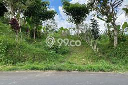 Kavling Tanah untuk Dijual di Payangan, Tabanan, Luas 3420m2 Kavling Tanah untuk Dijual di Payangan, Tabanan, Luas 3420m2