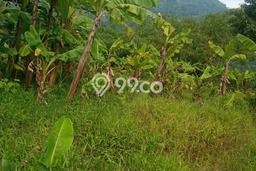 Kavling Tanah di Cibadak Dijual Luas 13000m2 Legalitas - Kavling Tanah di Cibadak Dijual Luas 13000m2 Legalitas -