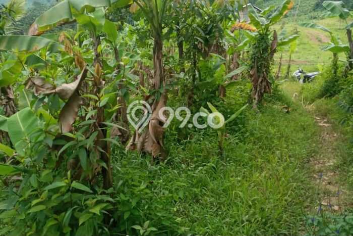 Kavling Tanah di Cibadak Dijual Luas 13000m2 Legalitas - Kavling Tanah di Cibadak Dijual Luas 13000m2 Legalitas -