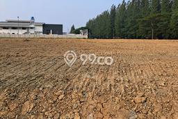 Tanah Kavling Dijual di Bekasi dengan Spesifikasi 2500m2 Tanah Kavling Dijual di Bekasi dengan Spesifikasi 2500m2