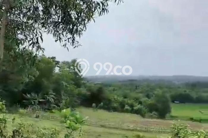 Tanah 1700Ha Subang Jawa Barat Tanah 1700Ha Subang Jawa Barat