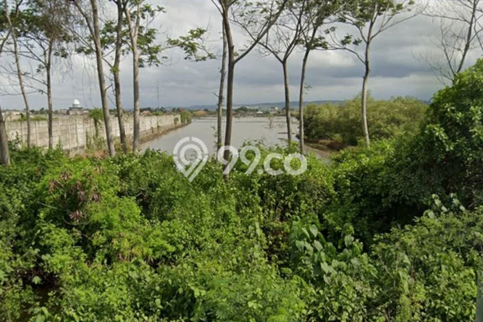 Lahan Kosong Dijual di Kendal dengan Area 20000m2 Lahan Kosong Dijual di Kendal dengan Area 20000m2