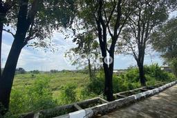 Tanah Dijual Lokasi Gempol, Cirebon Luas 39622m2 Legalitas Aman Tanah Dijual Lokasi Gempol, Cirebon Luas 39622m2 Legalitas Aman