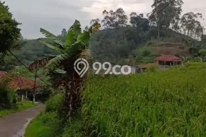 Kavling Tanah Dijual di Ciwidey Bandung Spesifikasi 2299m2 Kavling Tanah Dijual di Ciwidey Bandung Spesifikasi 2299m2